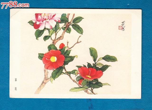 山茶花 山茶花（山茶花的花语） 生活