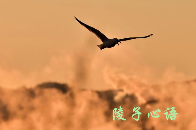 娇儿无孝子，一味地在物质上富养孩子，没有底线的纵容，好吗？