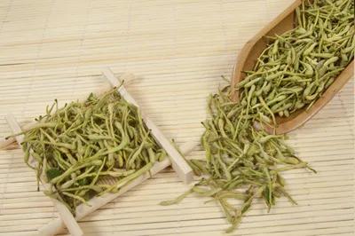 秋冬转季时节，「感冒」是会呼吸的痛