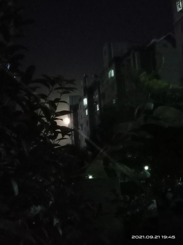 Aq7xyeelubrom