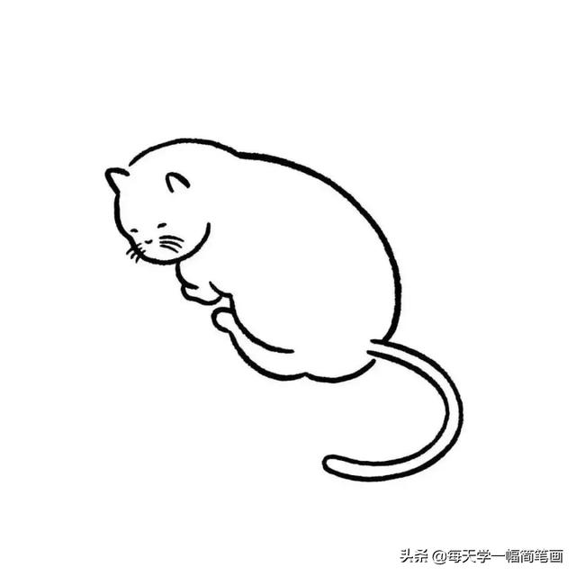 风的简笔画