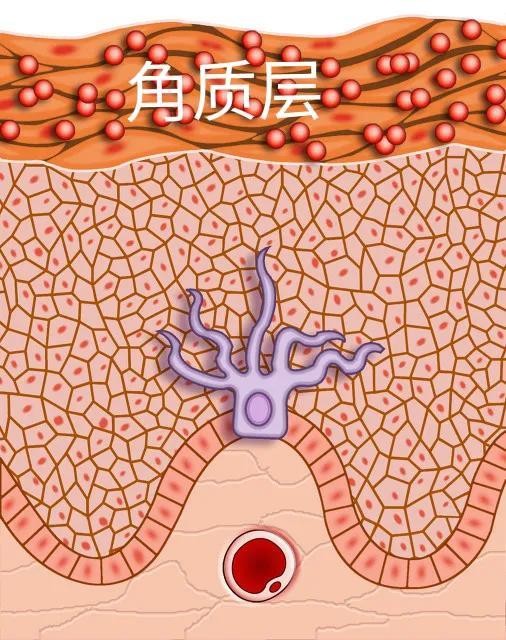 手指脱皮到疼不可忍，隔壁老太太：不用吃药，柴火烟熏一熏就好