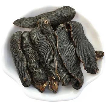 中药古今研究：水蛭