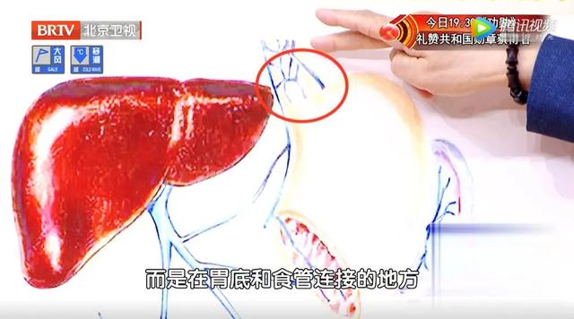 四个异常症状，是肝在求救！专家推荐一个饮食方法，帮您保肝护肝