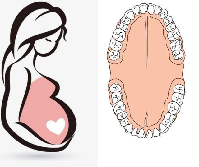 「备孕期」牙病患者需要注意这些