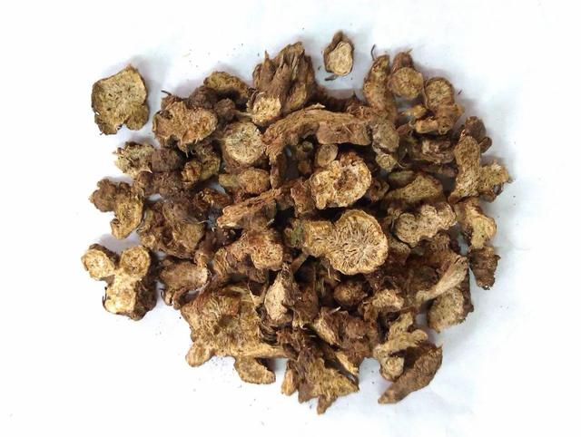 养生知药 | 苍术