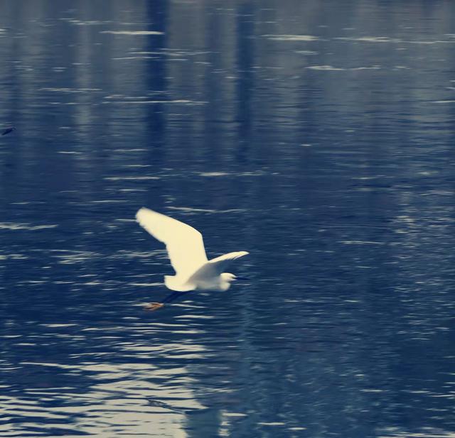 我从学霸家路过：孩子之间的差距本质上其实就是父母之间的差距