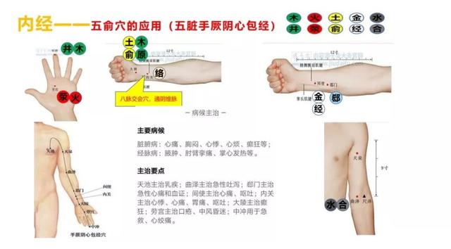 五输穴的位置及应用