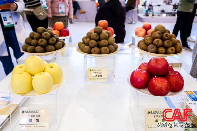 2018杨凌农高会果蔬机械展