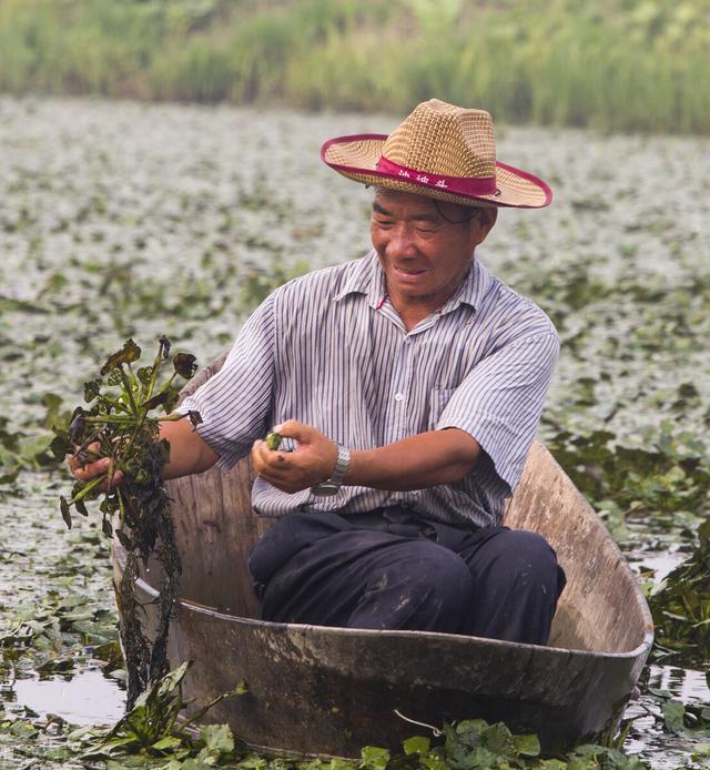 湖北武汉：95后小伙卖菱角一年搞3000万 玩电商发财