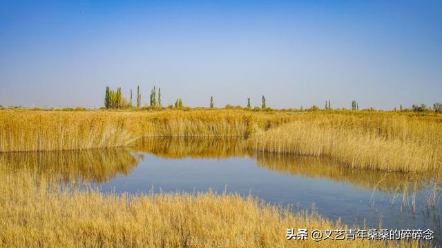 张掖过滤机