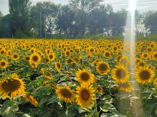 为什么有的人会越累越胖