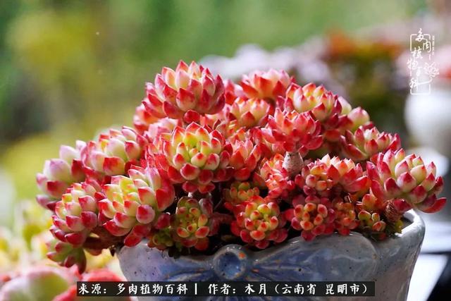 安康石英砂洗砂机厂家电话
