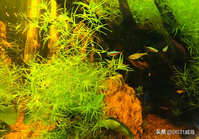 卖过滤机视频