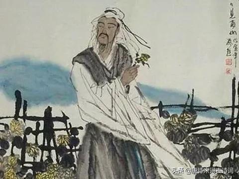 春晓作者是谁（孟浩然的春晓表达的是什么情感）