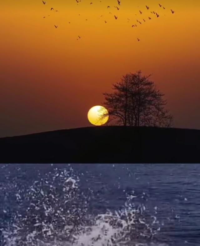 明月夜·秋水伊人