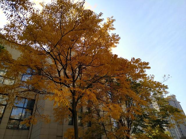 让智慧伴随孩子成长