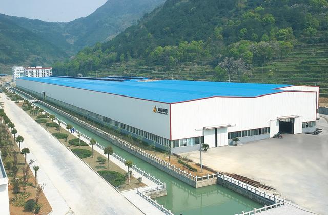 温州富豪项光达，蝉联两年民营钢企第一，力压宝钢一年入账2908亿