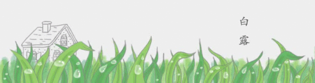 今日白露 | 最容易生病的节气到了