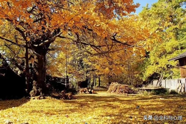 下半年,适合一个人出来的20个小众旅行地:累了,就出来走一走吧