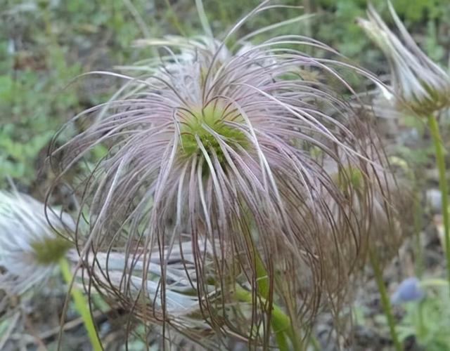耗子花(郝子欢) 资讯 第5张
