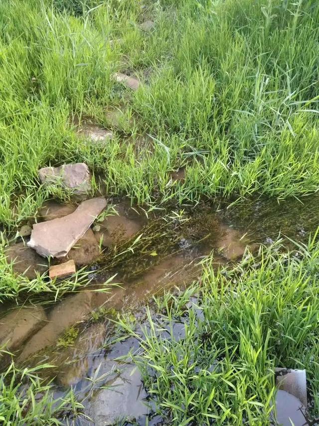 秋季养生：秋天话秋补