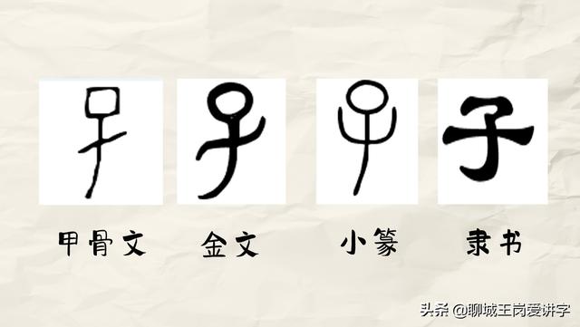 看下图"子"的甲骨文,标准的象形字,完全是根据襁褓中的婴儿创作出来的