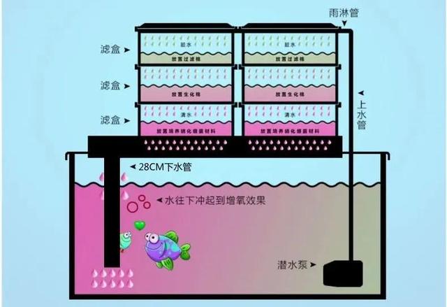鱼池转鼓过滤机需要多久冲一次水