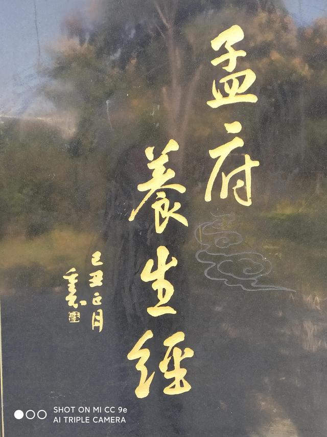 《孟府养生经》《孟府养生经》读经点睛 孟府养生三字经 第四篇