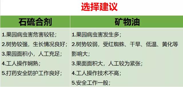 红蜘蛛爆发，树势弱，如何清园？用石硫合剂还是矿物油？11