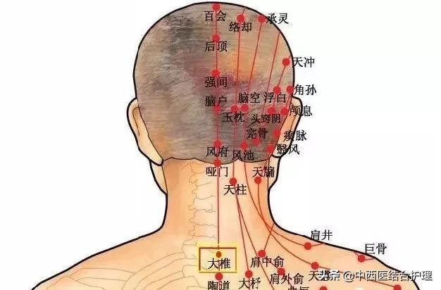 「经络养生」颈肩久治不断根，是这里“寒气”没有化解