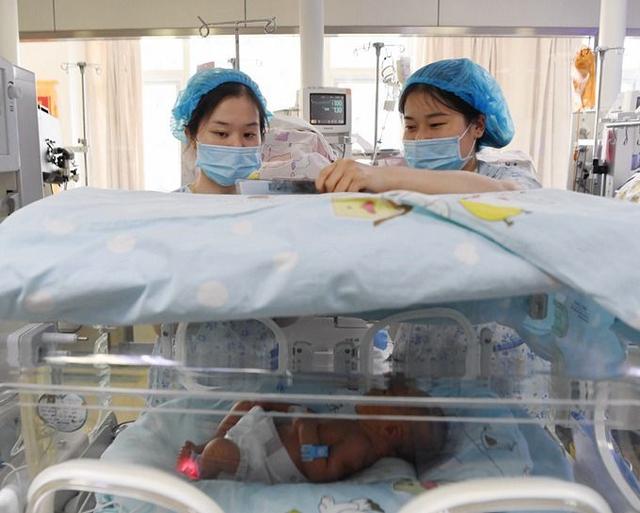 试管婴儿技术利用率提高 北京早产儿比例增加