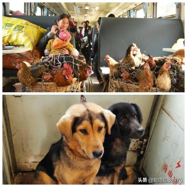 小型冰糖破碎机