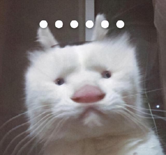 [小红花邀请码]，微信别人赞了怎么让人看不到