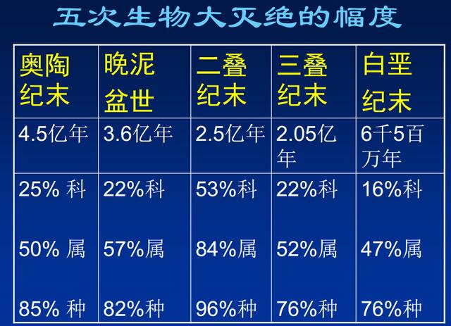 腔棘鱼