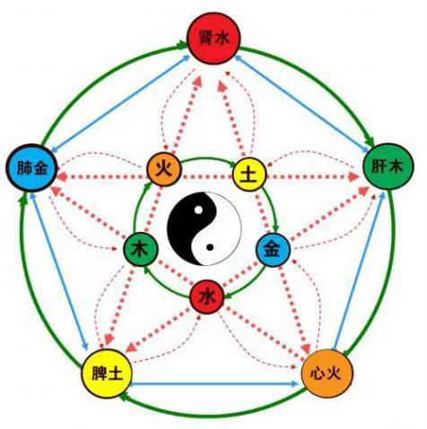 阴阳两虚、气血亏虚、寒热虚实庞杂,但虚不受补,常用仲景薯蓣丸8984 作者:admin 帖子ID:12919 阴阳两虚、气血亏虚、寒热虚实庞杂,但虚不受补,常用仲景薯蓣丸8984 作者:admin 帖子ID:12919