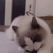 宝宝冬天起鸡皮肤