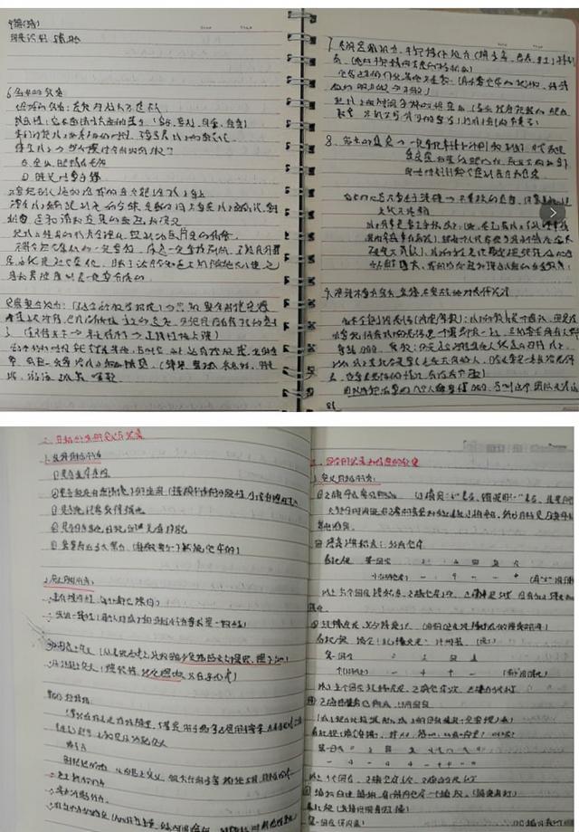 关于几年来的同伴介入回忆录（下）