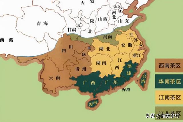 什么牌子的绿茶好