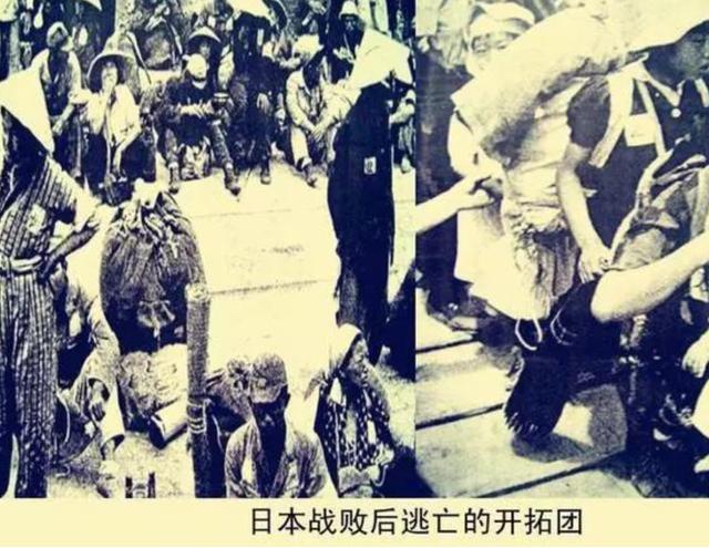 阜新风化砂洗砂机定制
