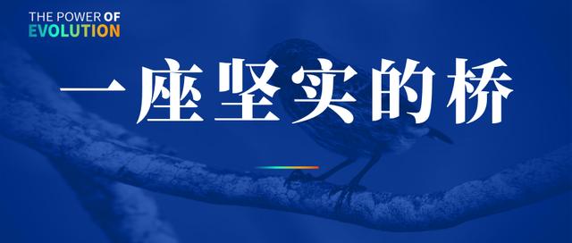 阿里1688，成为一座坚实的桥