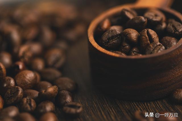 一份完整的咖啡店创业计划书带图片（一份完整的咖啡店创业计划书2000字）