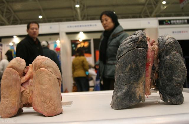 辛入肺、甘入脾、酸入肝、苦入心、咸入肾！五味防癌学会了吗？