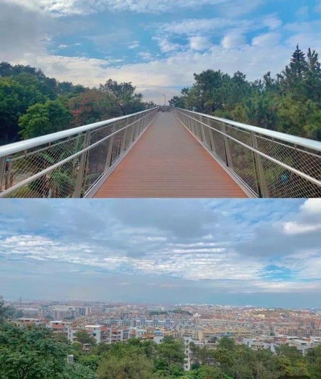 镇海石化建安工程公司郑展峰