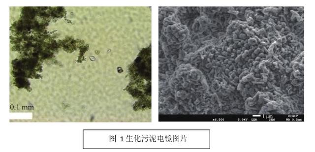 板框压滤机压泥不干