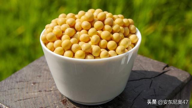 告訴家人 2種蔬菜發芽後不僅沒毒 營養價值還翻倍 丟掉可惜 Kks資訊網