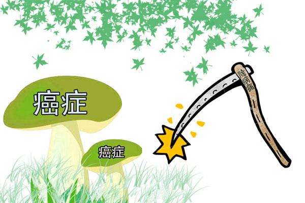 别再信大蒜、西蓝花等“抗癌食物”了！真正抗癌的方法，并不难学