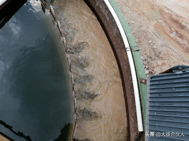 湖北带式压滤机出售