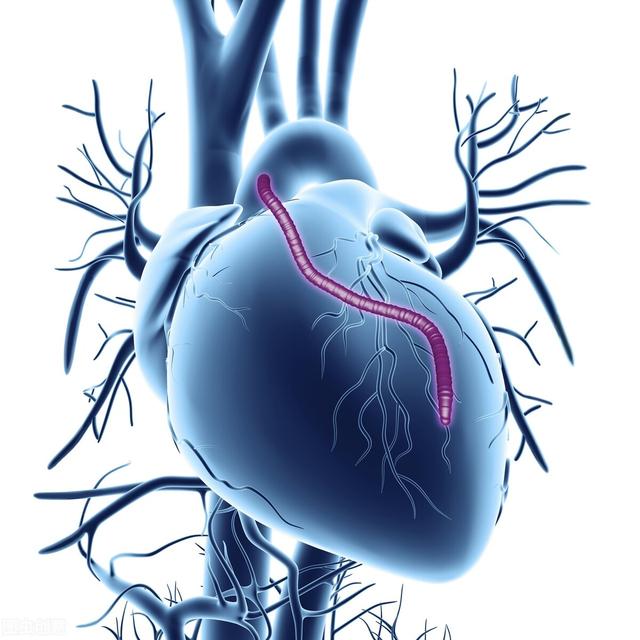 6大致命恶习危害甲亢患者的心脏，警惕心脏杀手的致命一击
