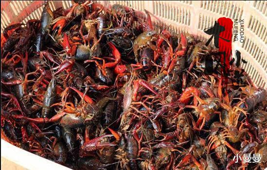 这4种肉类要避免，不管吃什么都要把健康放在首位